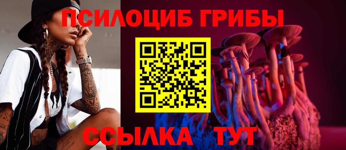 Галлюциногенные грибы Cubensis  Псилоцибиновые грибы мухоморы  Кольчугино  Вход с VPN 